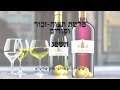 שיעור הרב מרדכי אלון פורים תשפ״ג