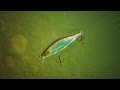 Rapala Shadow Rap Shad video