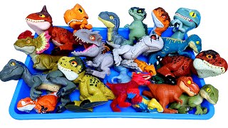 Various Dinosaurs Sound &amp; Goo jit zu Dinosaurs T-rex Giganotosaurus Raptor Pyroraptor &amp; Ania  공룡 사운드