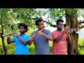 Pothi vacha malliga mottu  spb ilaiyaraja hits  trumpet  clarinet  flute  instrumental solo