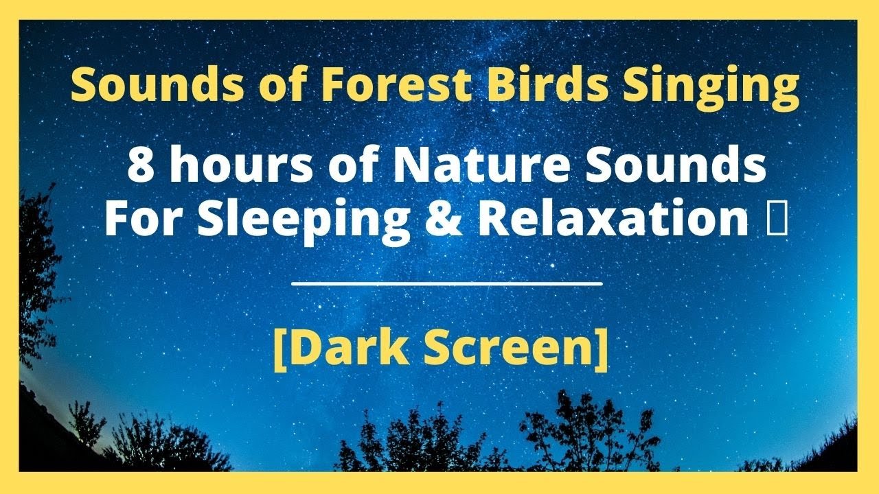 Sounds of Forest Birds Singing l 8 Hours of Nature Sounds For Sleeping ...