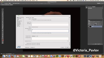 File Info in Adobe Photoshop CC