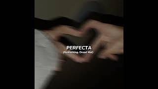 Rusherking, Dread Mar - Perfecta (speed up song)