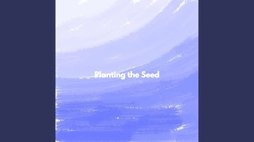 Remarkable Backdrops for Calm Shapes