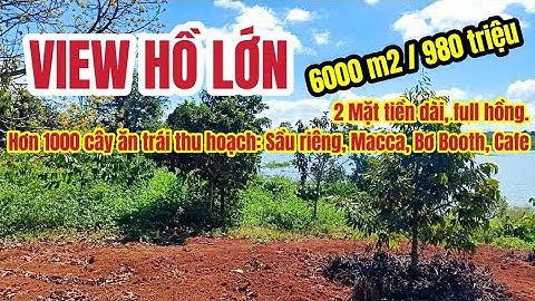 Nhà đất Đắk Lắk. Krong Năng. View hồ, mặt tiền nhiều, hơn 1000 cây ăn trái tươi tốt cho thu hoạch
