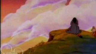 Winnie the Pooh - Waiting for a star to fall - Music video