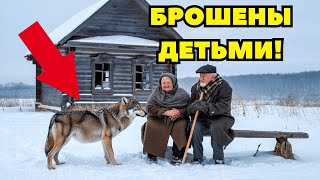 видео: ПОЖИЛЫЕ ДЕДУШКА И БАБУШКА СДЕЛАЛИ ИЗ СТАРОЙ ИЗБЫ ДОМ МЕЧТЫ картинка: ПОЖИЛЫЕ ДЕДУШКА И БАБУШКА СДЕЛАЛИ ИЗ СТАРОЙ ИЗБЫ ДОМ МЕЧТЫ