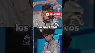 El secreto científico detrás del aterrizaje perfecto de un gato #gatos #ciencia #secretos #aprender