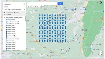 Princess of the SEO Grids - LocaL SEO with Google MyMaps