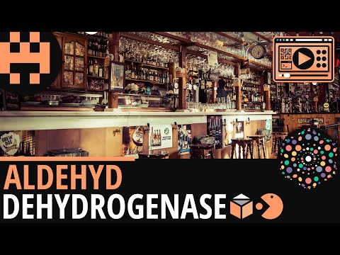 Video: Aldehyddehydrogenase 2 * 2-Knock-In-Mäuse Zeigen Eine Erhöhte Produktion Reaktiver Sauerstoffspezies Als Reaktion Auf Die Cisplatin-Behandlung