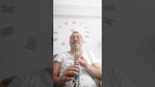 Klarnet Ömür Küçükler…