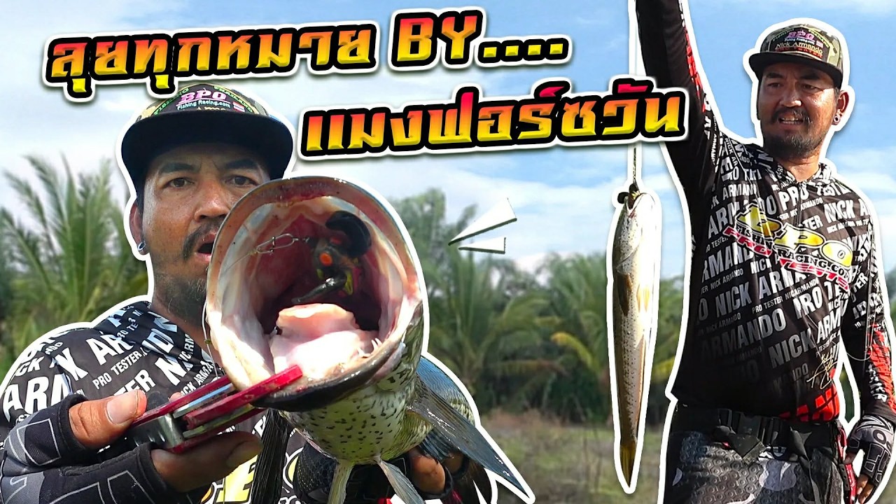 ลุยทุกหมาย byแมงฟอร์ชวัน