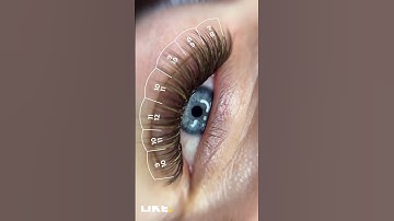 Lash Series: Lash Maps You Need to Try #lashes #lashextensions