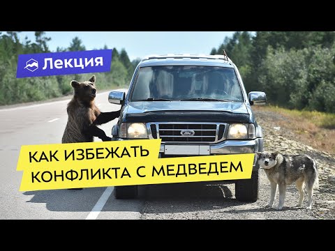 Видео: Действуй в соответствии со своим возрастом: адаптируй свои тренировки по мере взросления