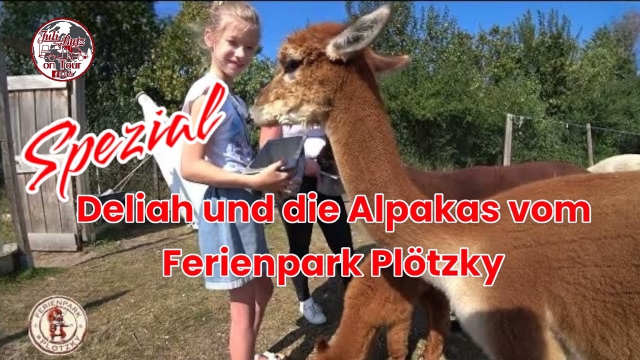 camping kochtopf set Feast 4 Familien-Campingkochgeschirr-Set  2-4 Personen Auto-Camping-Kochset   Fire Maple