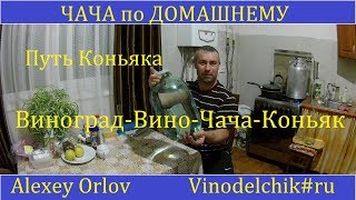 ЧАЧА по домашнему.