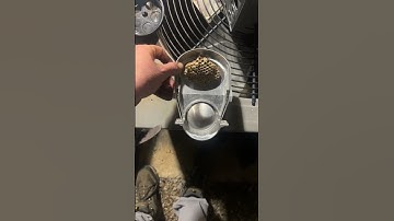 DONT WATCH if you have a fear of Holes!!!(Trypophobia) TRIGGER WARNING!!!!