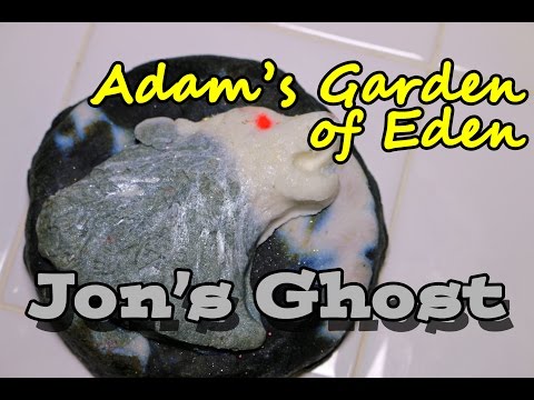adam's-garden-of-eden---jon's-ghost-bubble-bar---demo---review