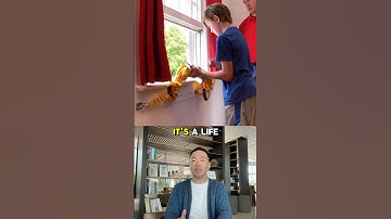 This hidden fire escape ladder deploys in seconds—stay safe and turn safety into profit!