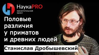 Половой диморфизм у приматов и древних людей – антрополог Станислав Дробышевский | Научпоп