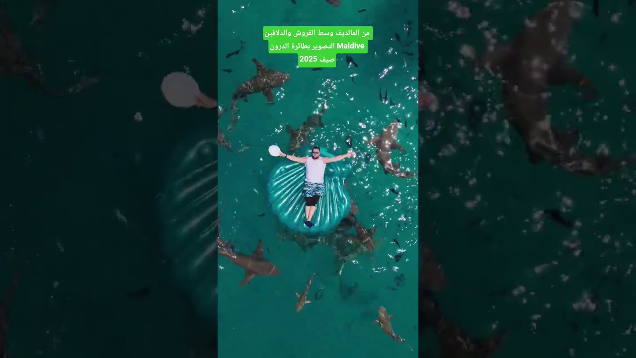 من المالديف وسط القروش والدلافين صيف 2025 Maldive