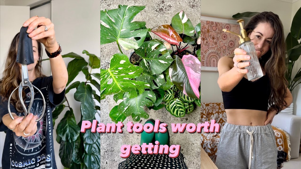 Common plant tools that I do and do NOT recommend 