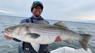 The Quest for Giant Migratory Striped Bass