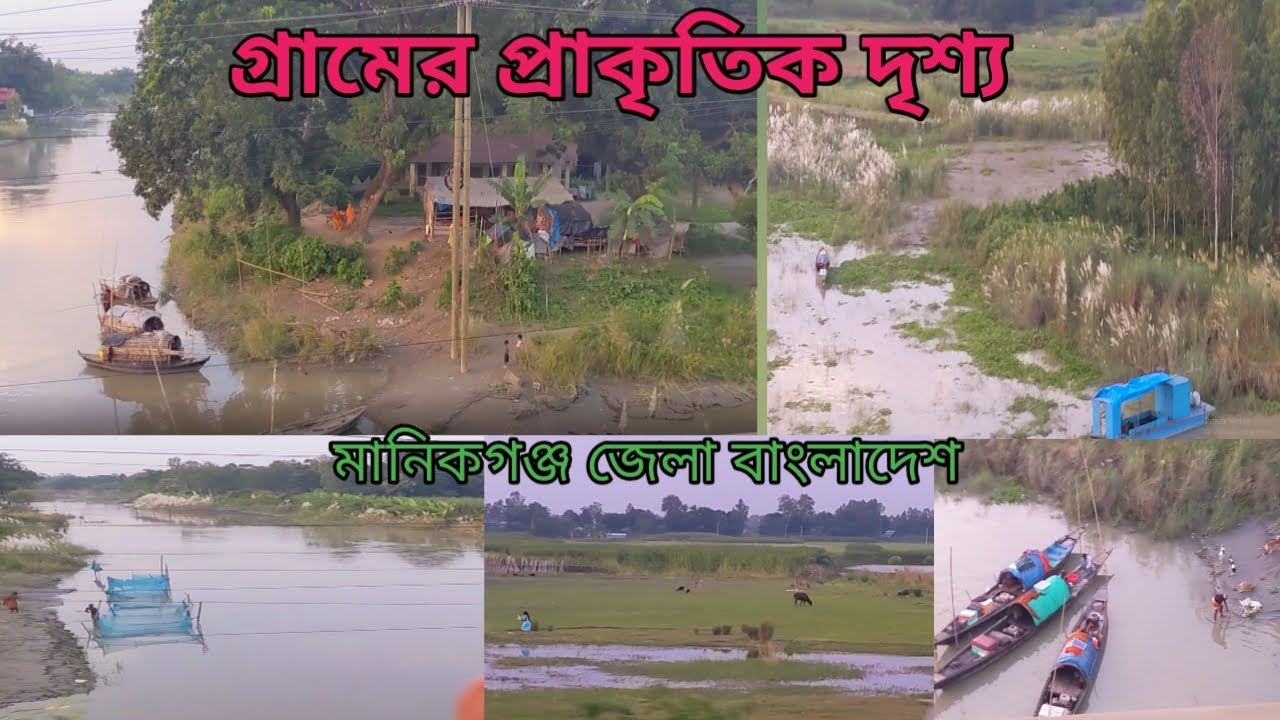বাংলাদেশের গ্রামীণ প্রাকৃতিক দৃশ্য । Natural village scenery in