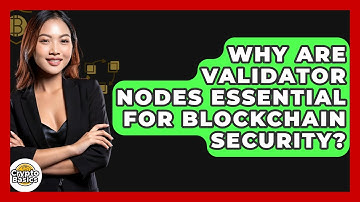 Why Are Validator Nodes Essential For Blockchain Security? - CryptoBasics360.com