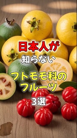 Three Myrtaceae Fruits That Japanese People Don't Know About. Part