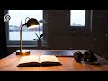 Music for Long Work Hours 🎧 Instrumental Background Sound for Office Focus