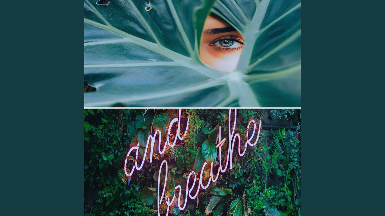 Dream-Like Backdrops for Meditation and Light