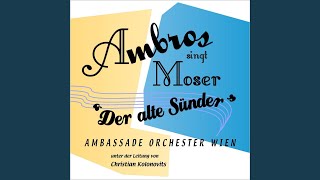 Video thumbnail of "Wolfgang Ambros & Georg Danzer - Mein Naserl"