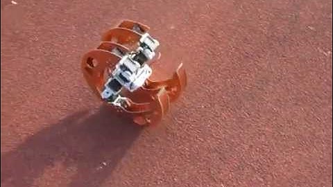 Quadruped with standing and rolling locomotion [BiLBIQ 02 - V 01]