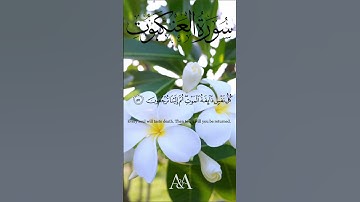 Surat Al-Ankabut ( 29. 56-57) || سورة العنكبوت