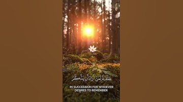 تلاوة خاشعة تريح القلب #قرآن #اكسبلور #quran #حالات_واتس#quran #islam#مكة_المكرمة #quran_karim