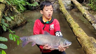 Today Bac was very lucky to catch a big fish while picking stuffed snails in a shallow stream.