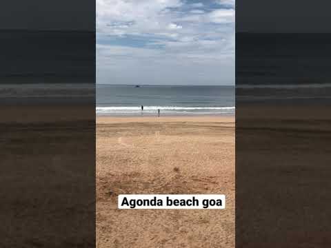 וִידֵאוֹ: Agonda Beach בגואה: מדריך הטיולים החיוני שלך