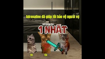 Kích hoạt Adrenaline lật ngược tình thế #cat #meme #catmemes