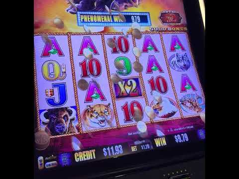 Spela Casino Online Hos WinShark: Hur Långt Kan Du Gå Med Uttagstid?