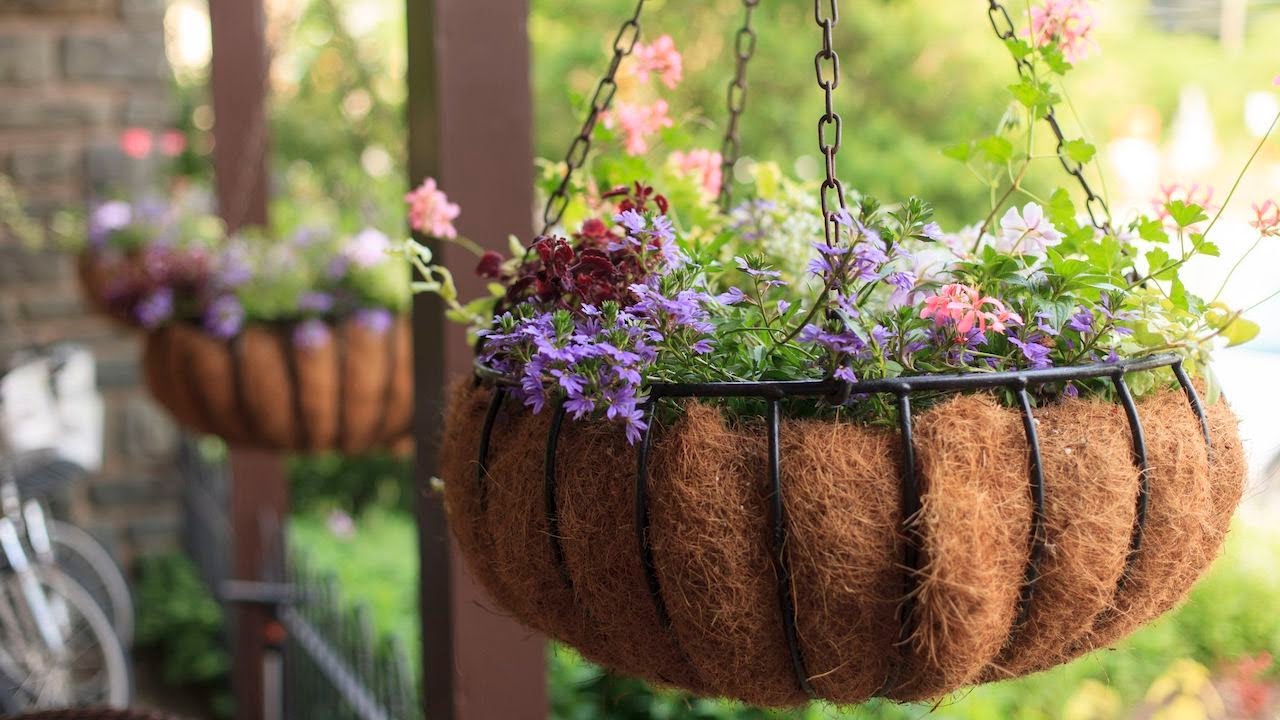 DIY Coir Flower Pots