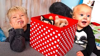 ADORABLE PUPPY SURPRISE!