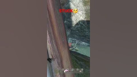 YOUR STUCK IN WHAT? #dayz