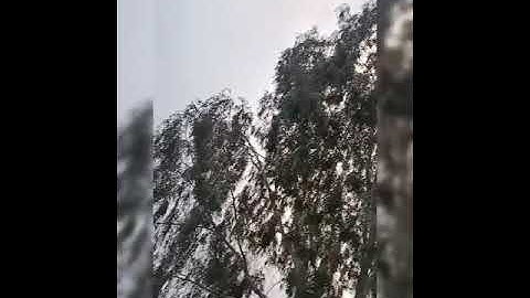 سورة المرسلات.حسني أبو حذيفة