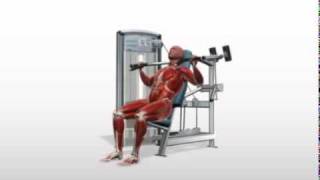 Exercise Videos- Overhead Press -- Machine