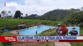 Sensasi Berenang di Purbalingga, Dikelilingi Hamparan Hijau Persawahan - iNews Siang 06/01