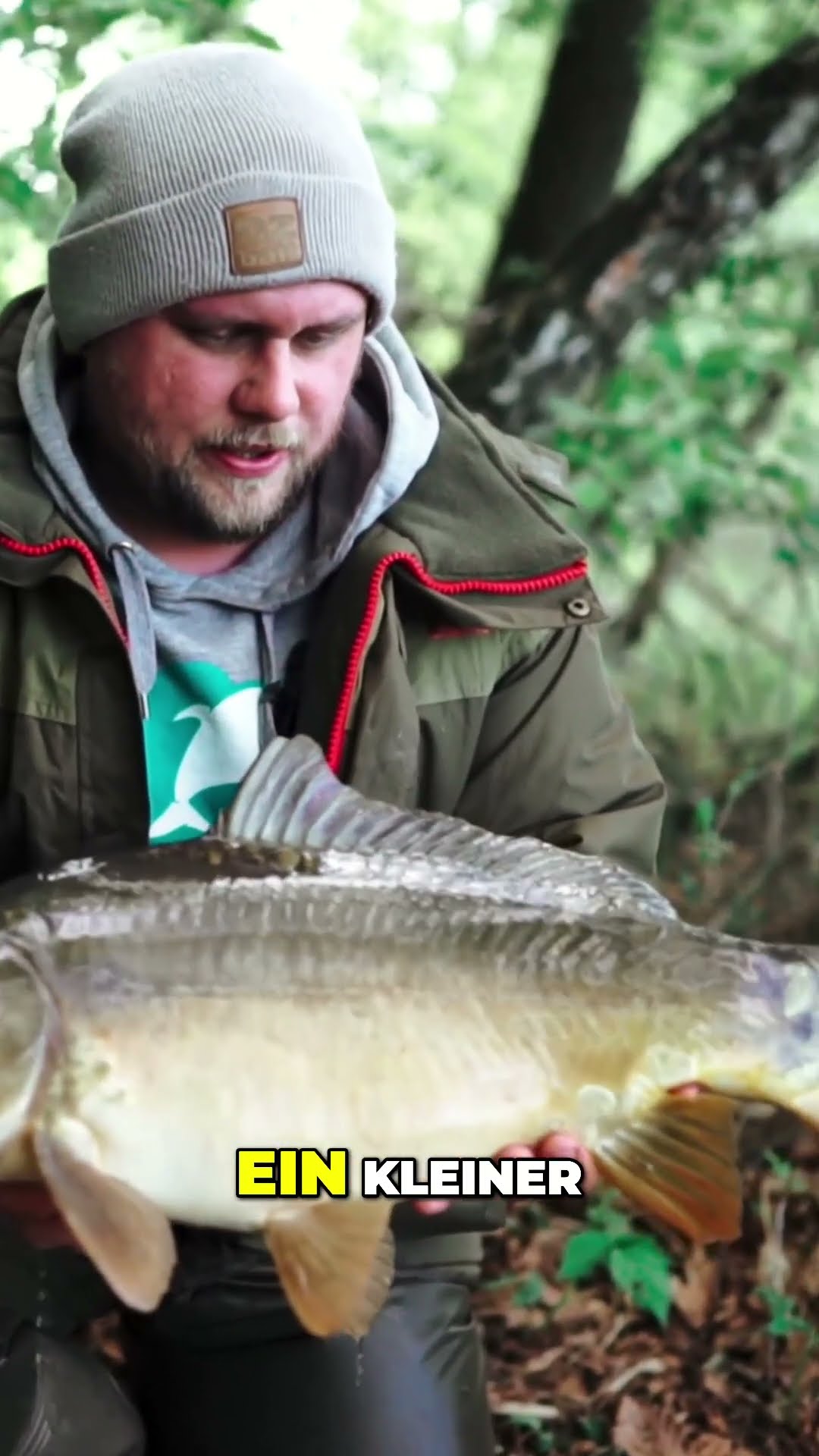 Fischerlebnis am See: Karpfen und schöne Schleien - YouTube