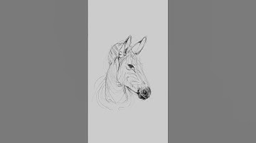 Digital Art Showcase: Creating a Zebra Drawing on iPad with Procreate