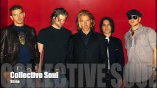 Collective Soul -   