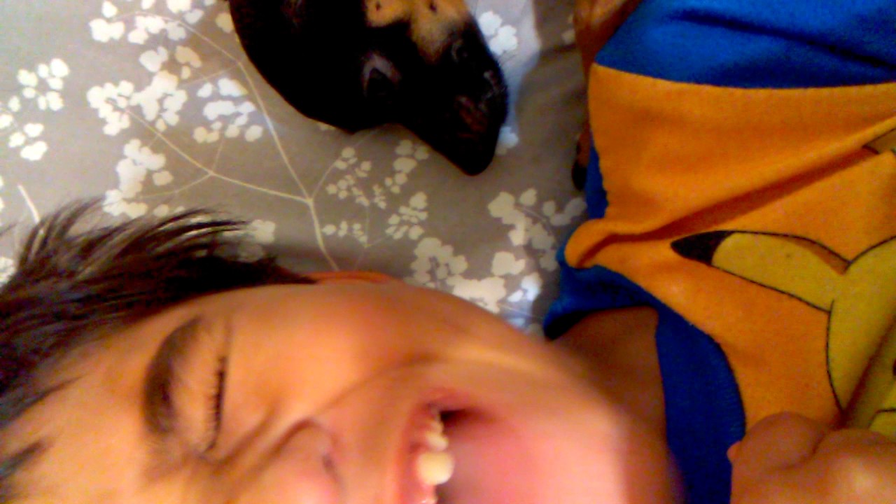 My dog sleeps next to me YouTube